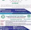 Professional’s Business Laws