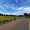 Shajeer Sha