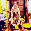 Vidyadhar Reddy