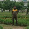 Muhammad Daniyal