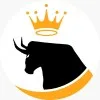 SEYES BUSINESS CONSULTANCY