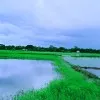 Md Shamim