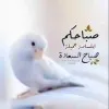 SAMEH mannai