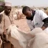 Sadiq Abdullahi