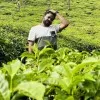 Vignesh Thirumoorthy
