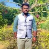 Palash Ghosh