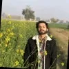 Ali Asjad