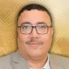 Ahmed Ginidi