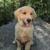 Bodie Kizer