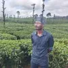 mathan kumar