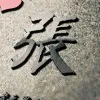 xiaoyuan zhang
