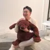 Tan Jun Xue