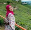 SITI ROBIAH JAAFAR