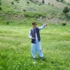 Saleem Shah