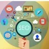 Hina Seo Expert And