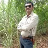 Nilesh Kumar