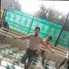 Shashank Shekhar Tivari