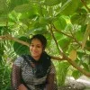 Chithra