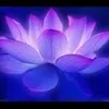 Vijaykumar