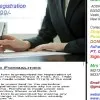 MARS CONSULTANT