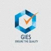 GIES INSPECTIONS