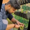 Saumitra Singh