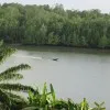 QZ Song