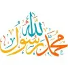 mansour ahmed fouad