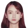 Kaining Yang