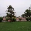 Sintu Kumar