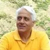 Vidhu Gairola