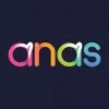 Anas Mansoor