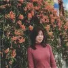 EI EI PHYU