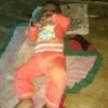 quamrul hoda