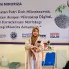 Nursitifal Armadin