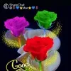 shamim alam