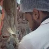 Fahed Idrissi bouyahyaoui