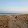 Alişan