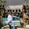 Umang Acharya