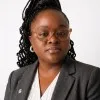 Temi Dansu