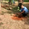 Jagadeesh