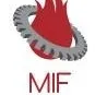 MAX INDUCTION FURNACE