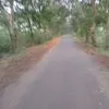 yogesh kothari