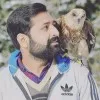 Adeel Hassan