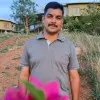 Himanshu Tiwari