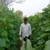 Srinatha