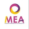 GRUPO MEA