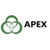 Apex Consulting