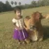 shantha kumar