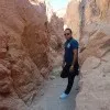 Mahmoud Shokr
